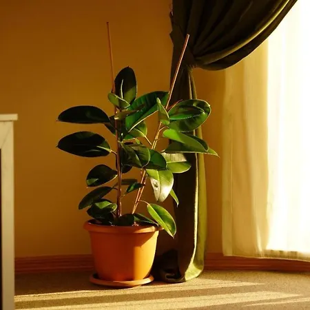 Trikos Boutique Arnavutkoy