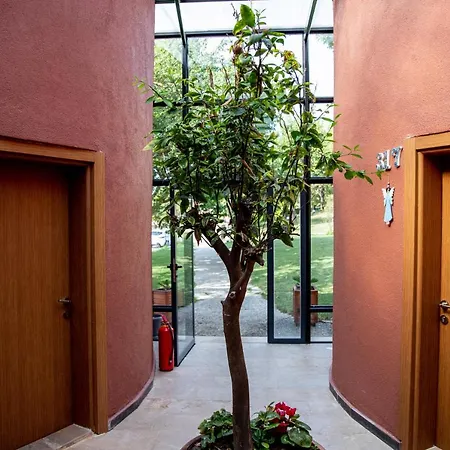 Trikos Boutique Hotel