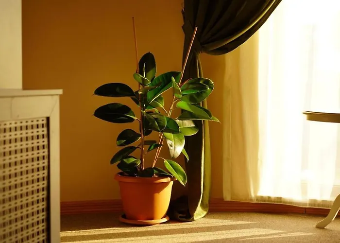 Trikos Boutique Arnavutkoy